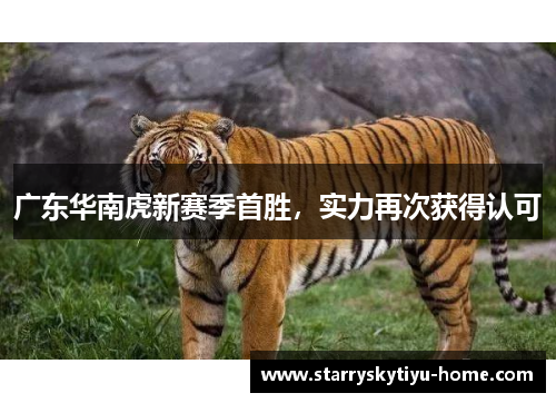 广东华南虎新赛季首胜，实力再次获得认可