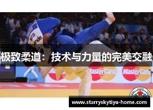 极致柔道：技术与力量的完美交融